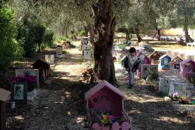 Acquaviva, alla scoperta del "Parco degli affetti": il colorato cimitero degli animali